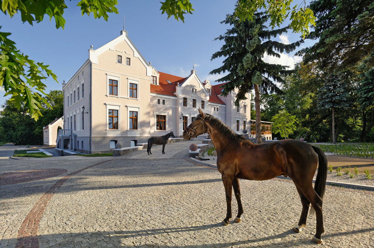 Pałac Mortęgi Hotel & SPA nad jeziorami