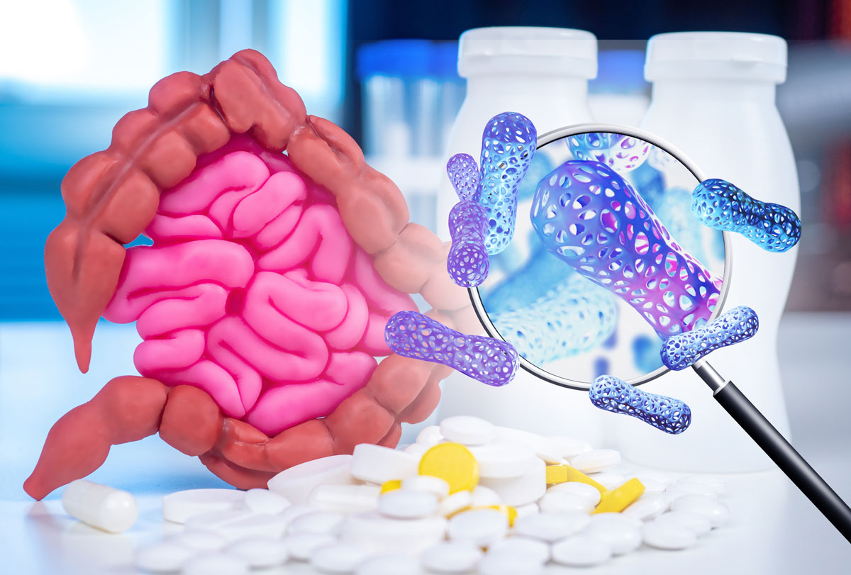 postbiotyki akkermansia muciniphila 2598121835