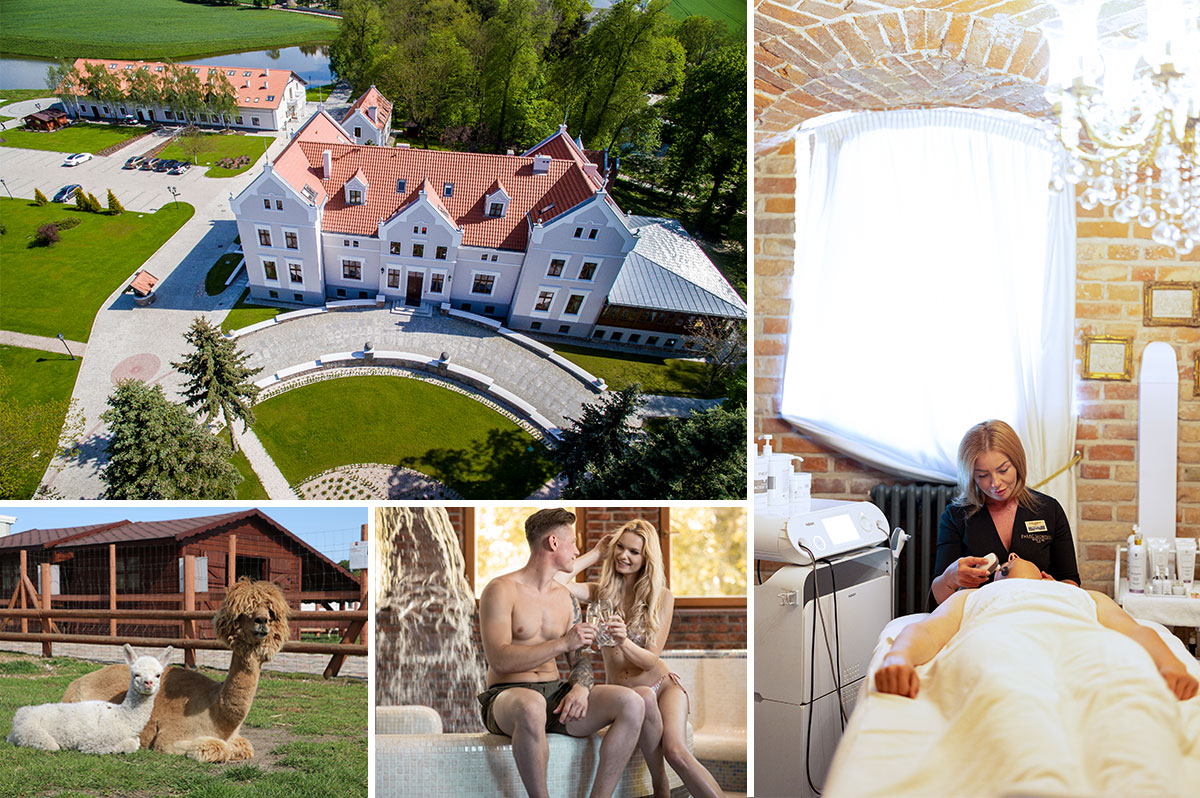 Jesienny zastrzyk energii w Pałacu Mortęgi