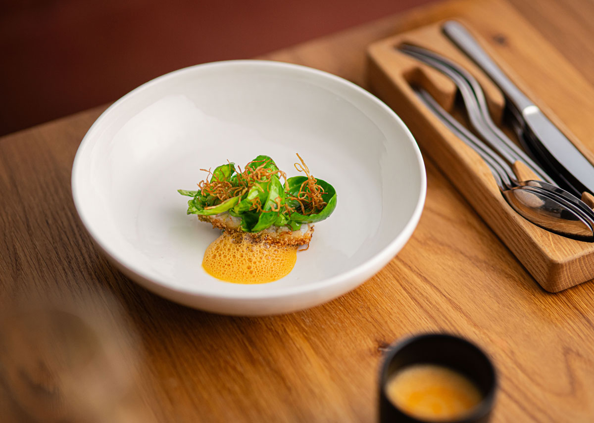 POT Rafal Meszka dot Michelin 1